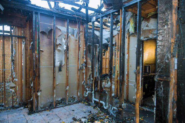 Professional Emergency Fire Cleanup technician working in North Brooksville, FL